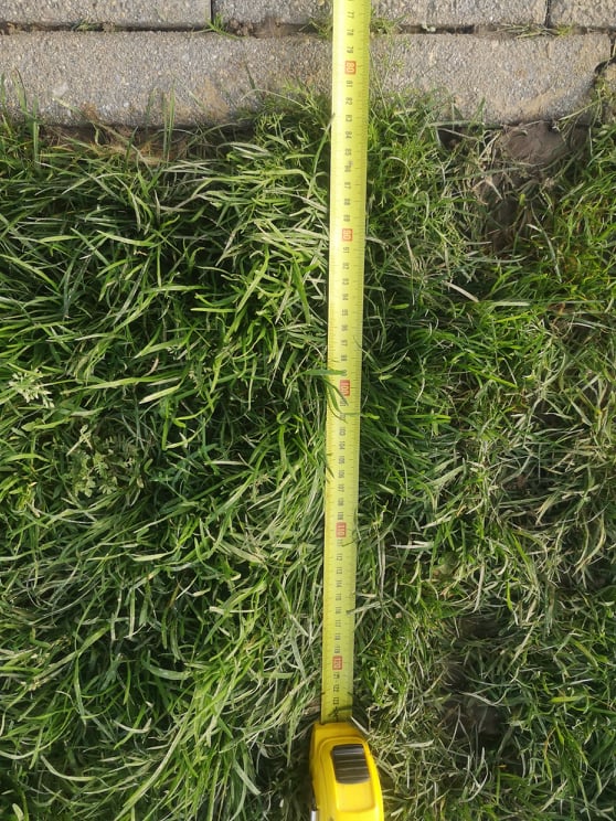 test 3