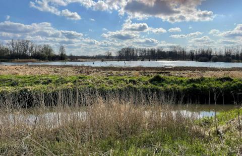 Verkenningswandeling Aronst Hoek © Marc op de Weerdt