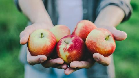 Appelbabbelbakactie © Valeria Aksakova