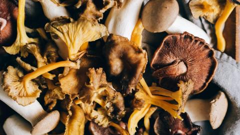 Verrassend koken met champignons en paddenstoelen - kookworkshop © Pexels