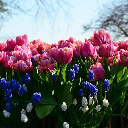 EUCHARISTIEVIERING © 49pauly