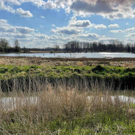 Verkenningswandeling Aronst Hoek © Marc op de Weerdt