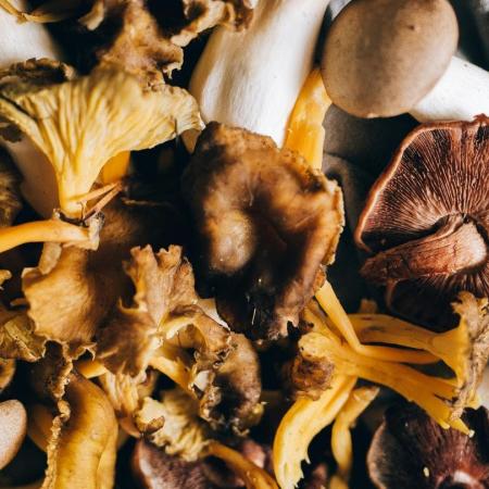 Verrassend koken met champignons en paddenstoelen - kookworkshop © Pexels